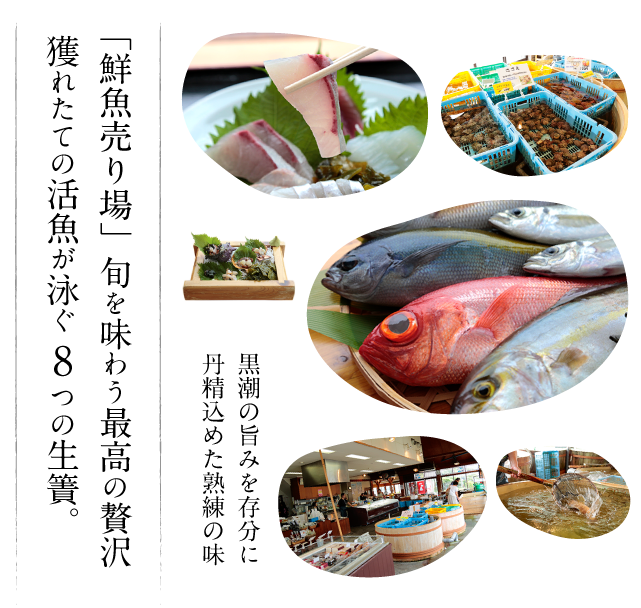 「鮮魚売り場」旬を味わう最高の贅沢 獲れたての活魚が泳ぐ8つの生簀。