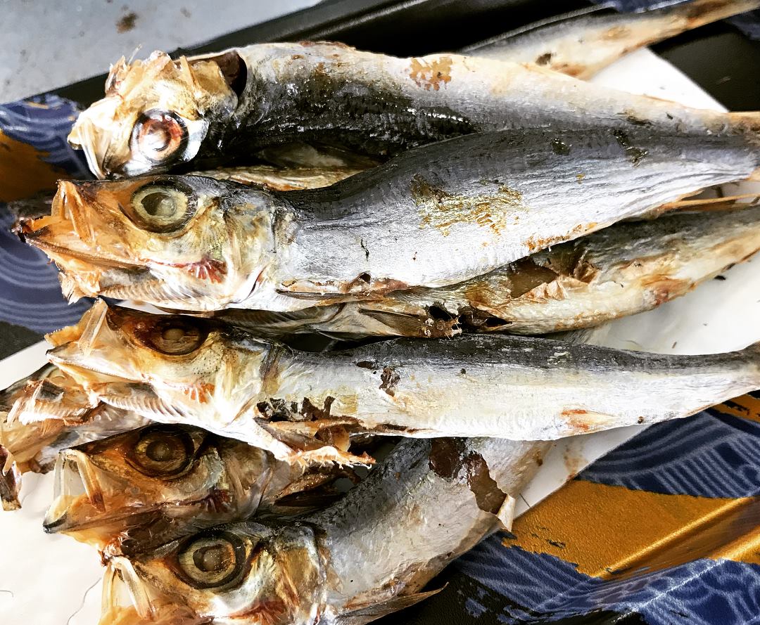 美味しい めざし あります 和歌山県みなべで魚介 干物 食事なら紀州の旨い魚 もとや魚店